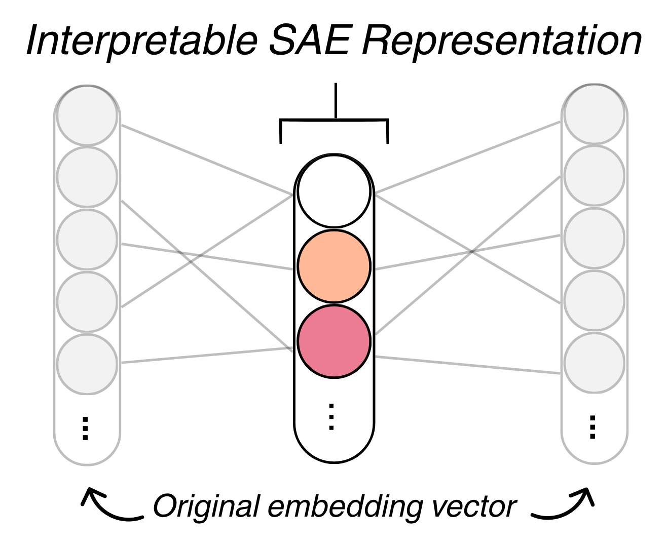 SAE extraction step diagram